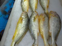 -家乐福(四元桥购物中心店)