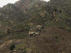 -圣莲山风景区
