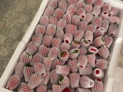 草莓-菜园坝水果市场