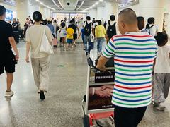 -青岛胶东国际机场