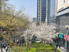 -星巴克(嘉定中信泰富万达广场店)