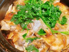 -新高记·粤菜·湛江鸡(南头古城店)