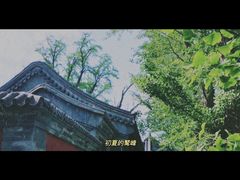 -北京鹫峰国家森林公园