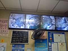 菜单-朝阳路拉面店