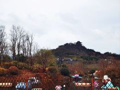 -雅达·阳羡溪山小镇中心
