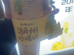 -猫的魔法密林(衣裳街店)