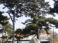 -妙峰山风景名胜区