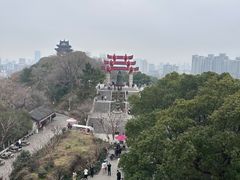 -武汉知音号