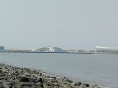 -吴淞炮台湾湿地森林公园烧烤区