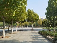 -天津现代职业技术学院