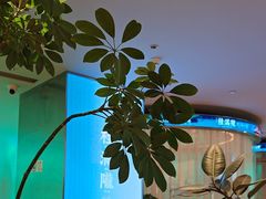 -桂满陇·杭州小馆(巴黎春天浦建店)