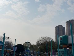 -海合安武汉极地海洋公园