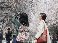 -山东师范大学(千佛山校区)