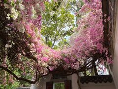 -深圳国际园林花卉博览园