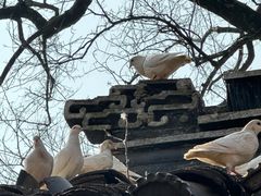 -善卷洞风景区