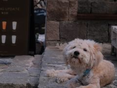 -MOJ coffee(瓯海泽雅水碓坑店)