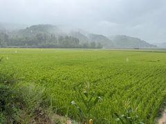 -南泥湾风景区
