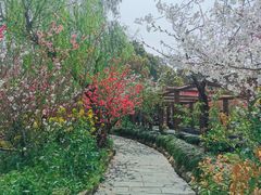 -南汇桃花村