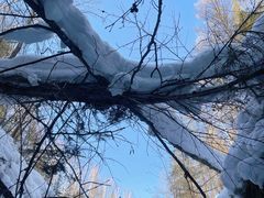 -峡谷浮石林景区