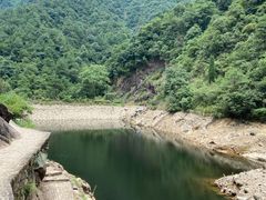 -大奇山国家森林公园
