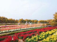 -广东花都香草世界旅游度假区