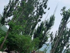 -幽岚山·童话森林