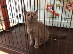 -iF摄影•全家福•证件照•形象照(南山店)