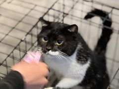 -蜀都冒菜·酱蟹生腌