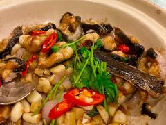 -上海明天广场JW万豪酒店