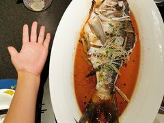 -凤凰湘语·湘粤鲜融(浦东旗舰店)