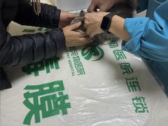 -瑞派宠物医院·24h·骨外科·皮肤科·全科宠物医疗转诊中心(沈阳浑南院)