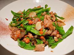 -凤凰湘语(浦东旗舰店)