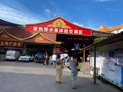 -曼阁市场水果批发市场