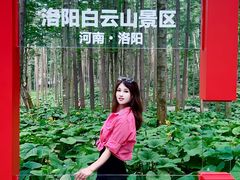 -洛阳白云山景区