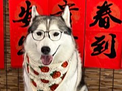 -星多哈·狗咖·拼豆·咖啡
