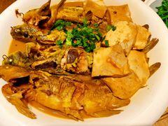 嘎鱼炖豆腐-鸽子窝(青塔店)