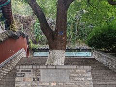 -千佛山风景名胜区-历山院