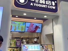 门面-一只酸奶牛(八一路店)