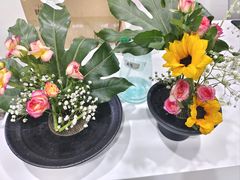 -帝京日语(春熙路旗舰校区)