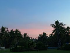 -涛·海底餐厅·美人鱼·自助餐·海底隧道(三亚海棠湾洲际度假酒店)