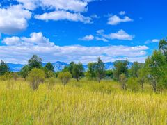 -野鸭湖国家湿地公园