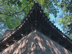-灵谷景区