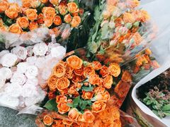 -循礼门鲜花花市(武汉循礼门店)