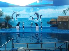 -石林冰雪海洋世界