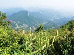 -白草畔自然风景区