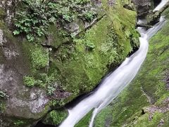 -西安祥峪森林公园