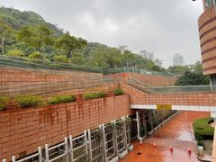 -香港大学