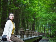 -桤木河湿地公园