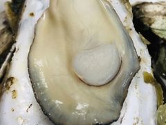-蚝家菜馆(沙井店)