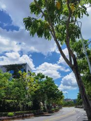 点击看大图 -厦门市儿童医院